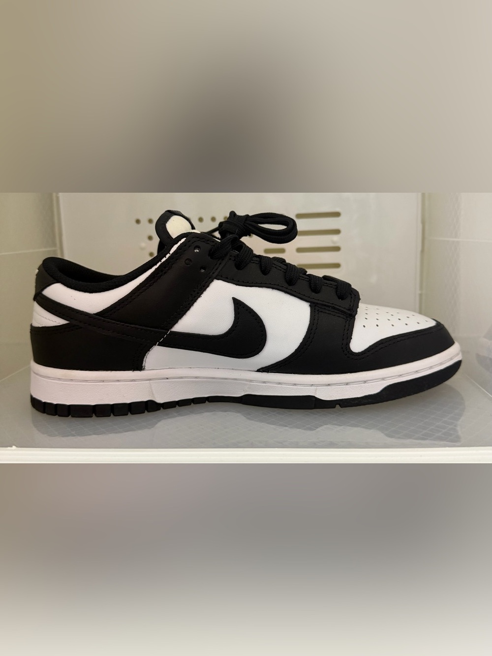Nike Women's Dunk Low Shoes